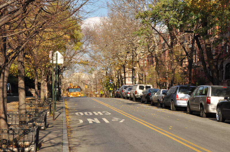 Tree-lined Convent Avenue